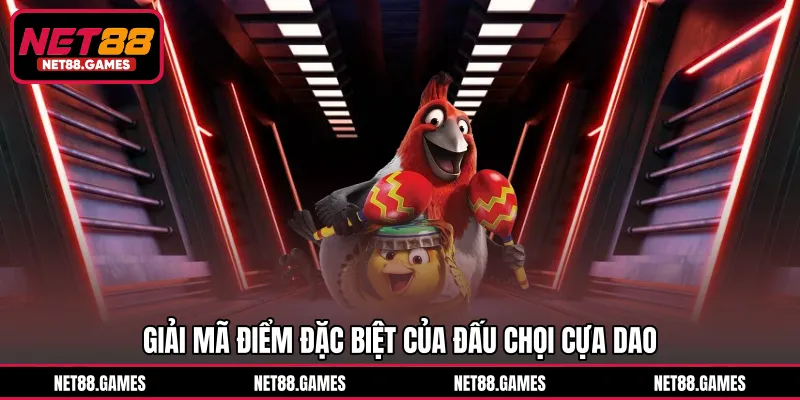 Giải mã điểm đặc biệt của đấu chọi cựa dao