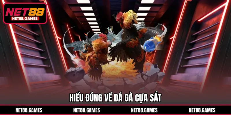 Hiểu đúng về đá gà cựa sắt