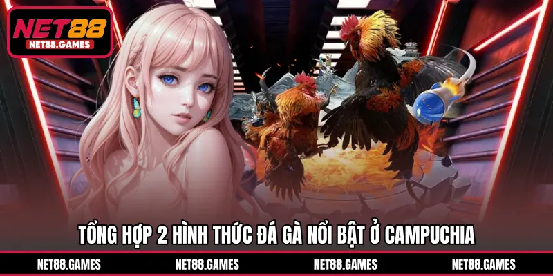 Tổng hợp 2 hình thức đá gà nổi bật ở Campuchia