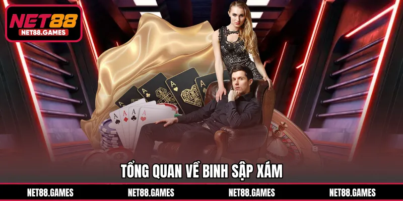 Tổng quan về Binh Sập Xám