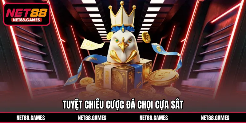 Tuyệt chiêu cược đá chọi cựa sắt